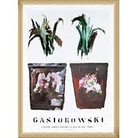 ジェラール ガシオロウスキ　フレーム付ポスター Amazon.co.jp: ポスター ジェラール ガシオロウスキ FLEURS N 221/222